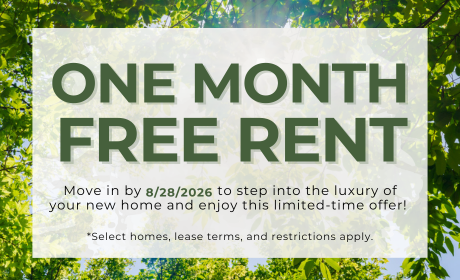 image for /shared/images/quinn-residences-at-snapping-shoals-popup-buct3nsg.png